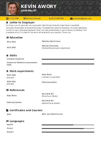  resume example